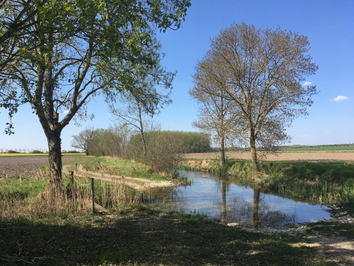 Chambre D'Hotes A La Campagne Coings Exteriör bild